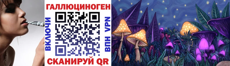 это Telegram  Приморск  Псилоцибиновые грибы MAGIC MUSHROOMS 